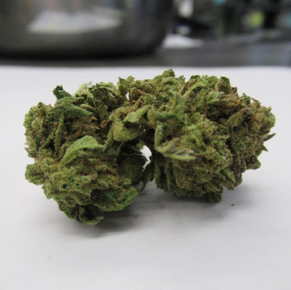 Close-up of cannabis buds, green with brown hairs, on a white surface.