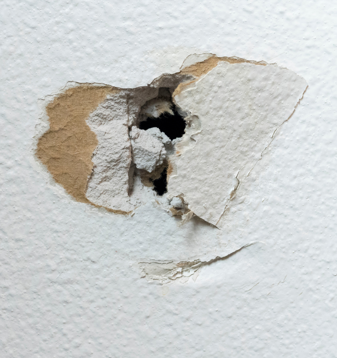 drywall repair