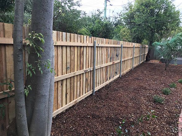 A Wooden Fence is Surrounded by Trees and Mulch in a Backyard — Rearden Fencing Pty Ltd in Toronto, NSW