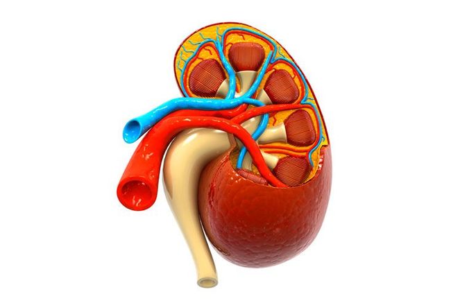 UROLOGO EN MERIDA