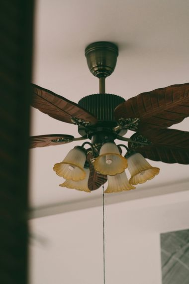 Ceiling fan with five glass light shades and dark wooden blades hanging indoors