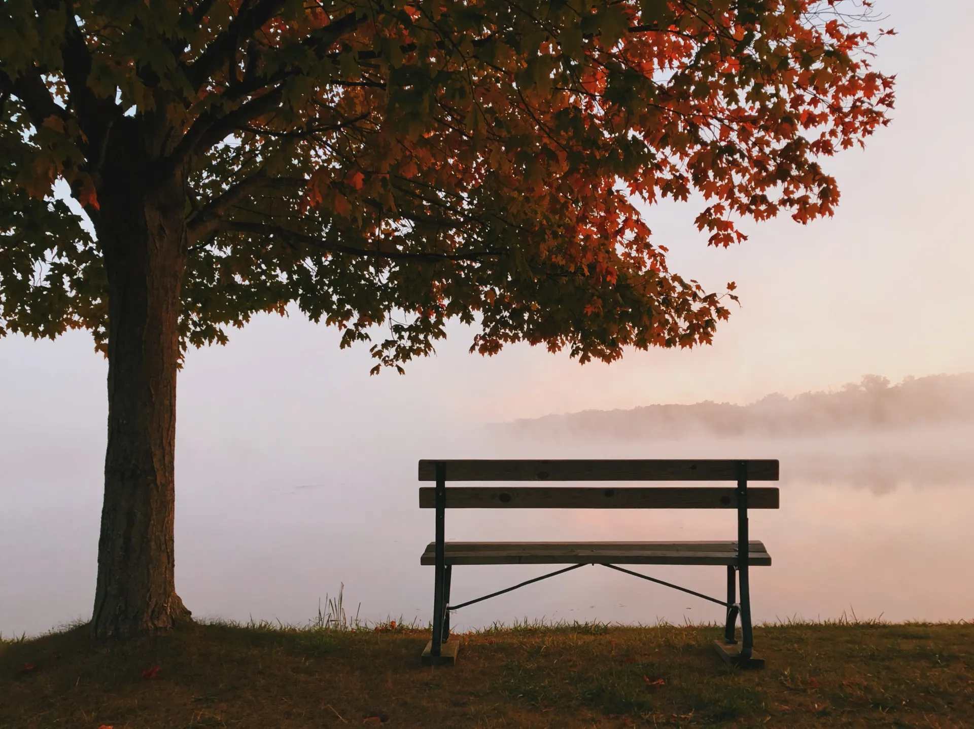 Grief Support