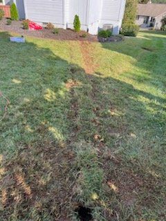 Brown worn path through a grassy yard leading to a house foundation with mulch beds and a sprinkler hole in foreground