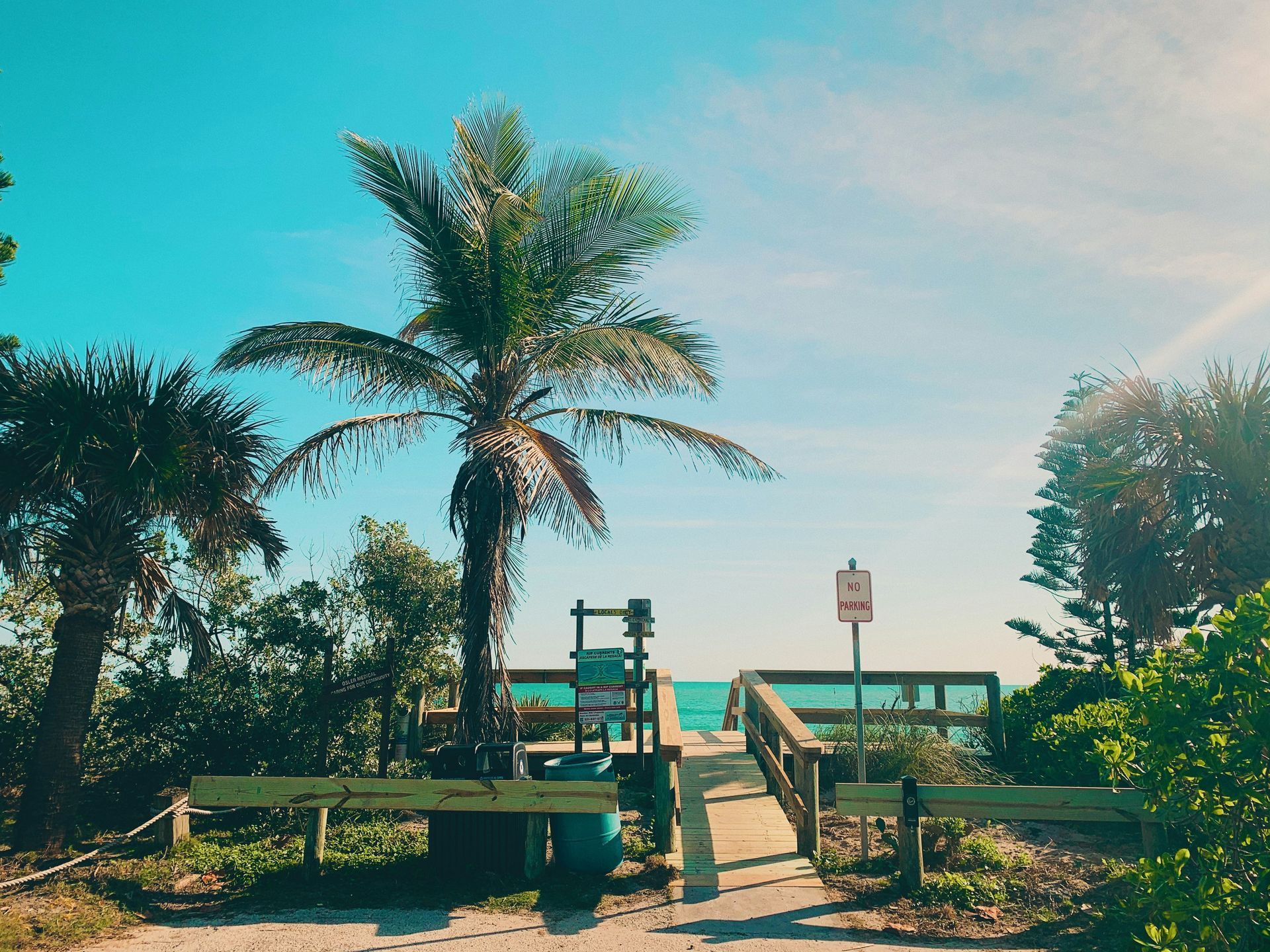 A wooden walkway leading to the beach with a palm tree in the foreground