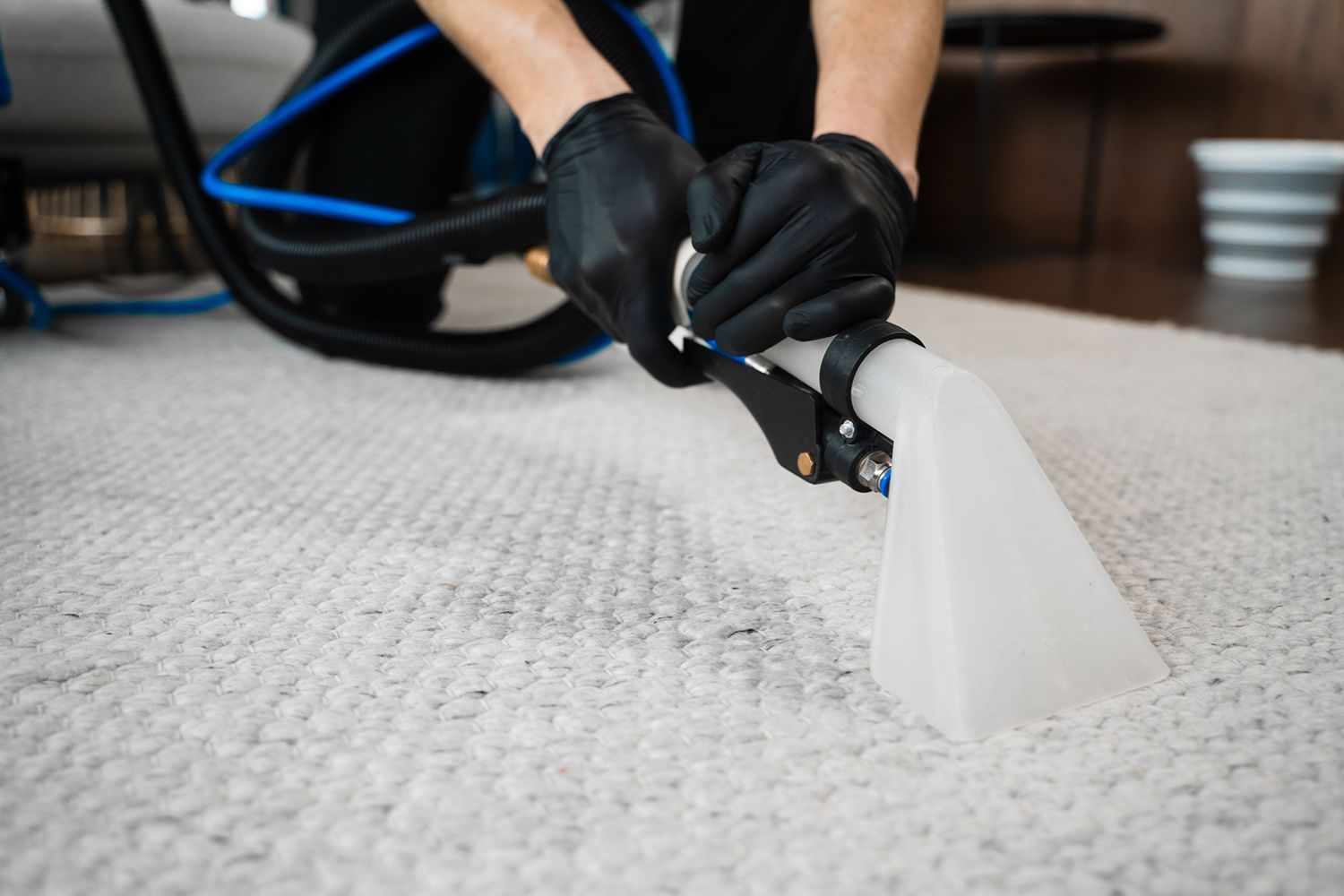 Person wearing black gloves cleaning white carpet with cleaning tool.