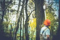 A man wearing a hard hat is standing next to a tree in the woods.