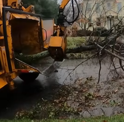Yellow wood chipper processing tree branches on wet ground.