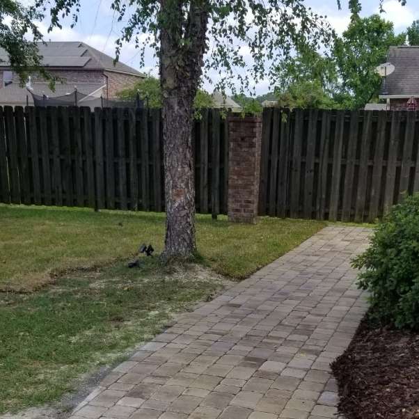 Hardscape 20