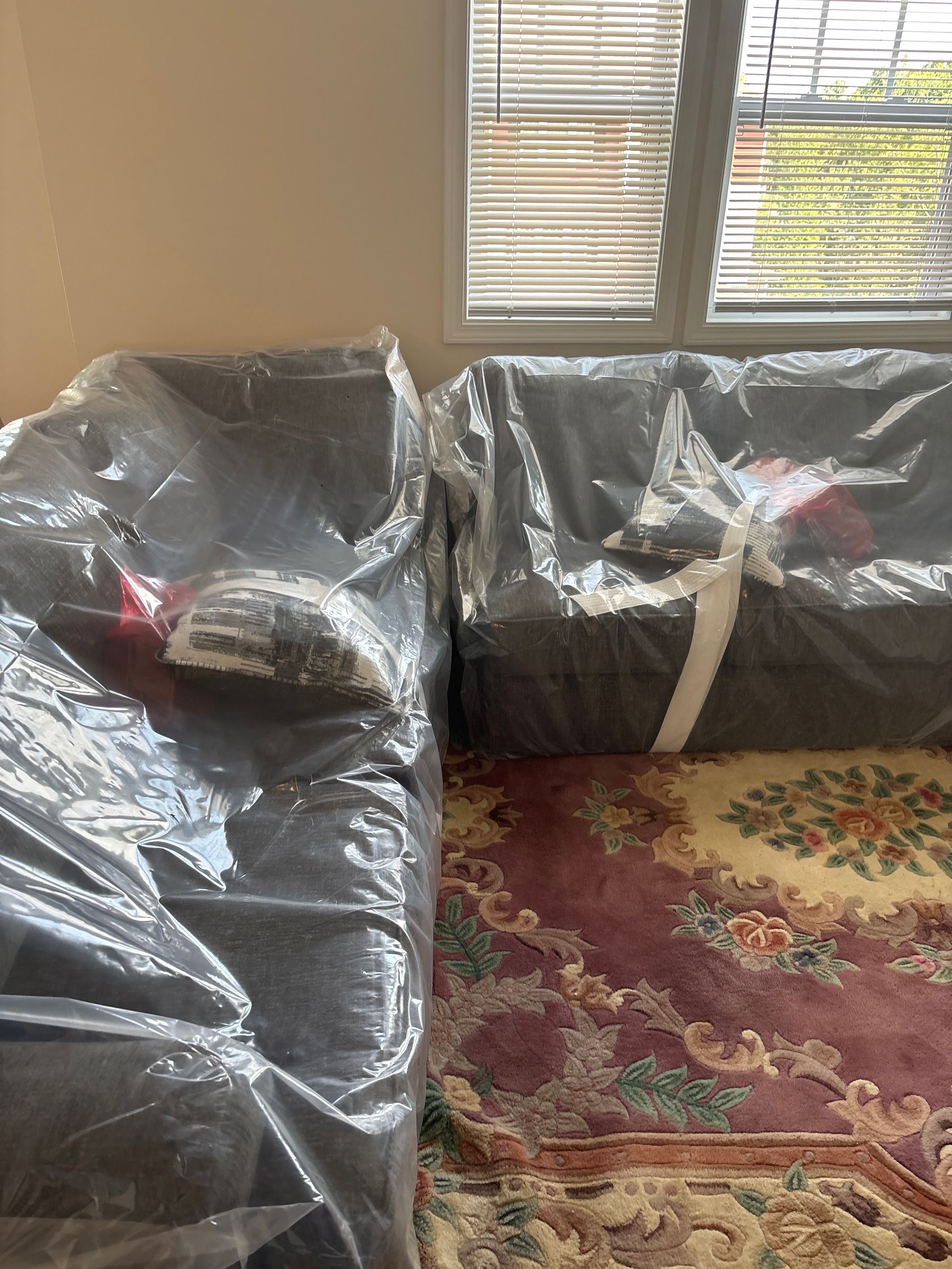Living room with two plastic-covered sofas near a window and patterned rug