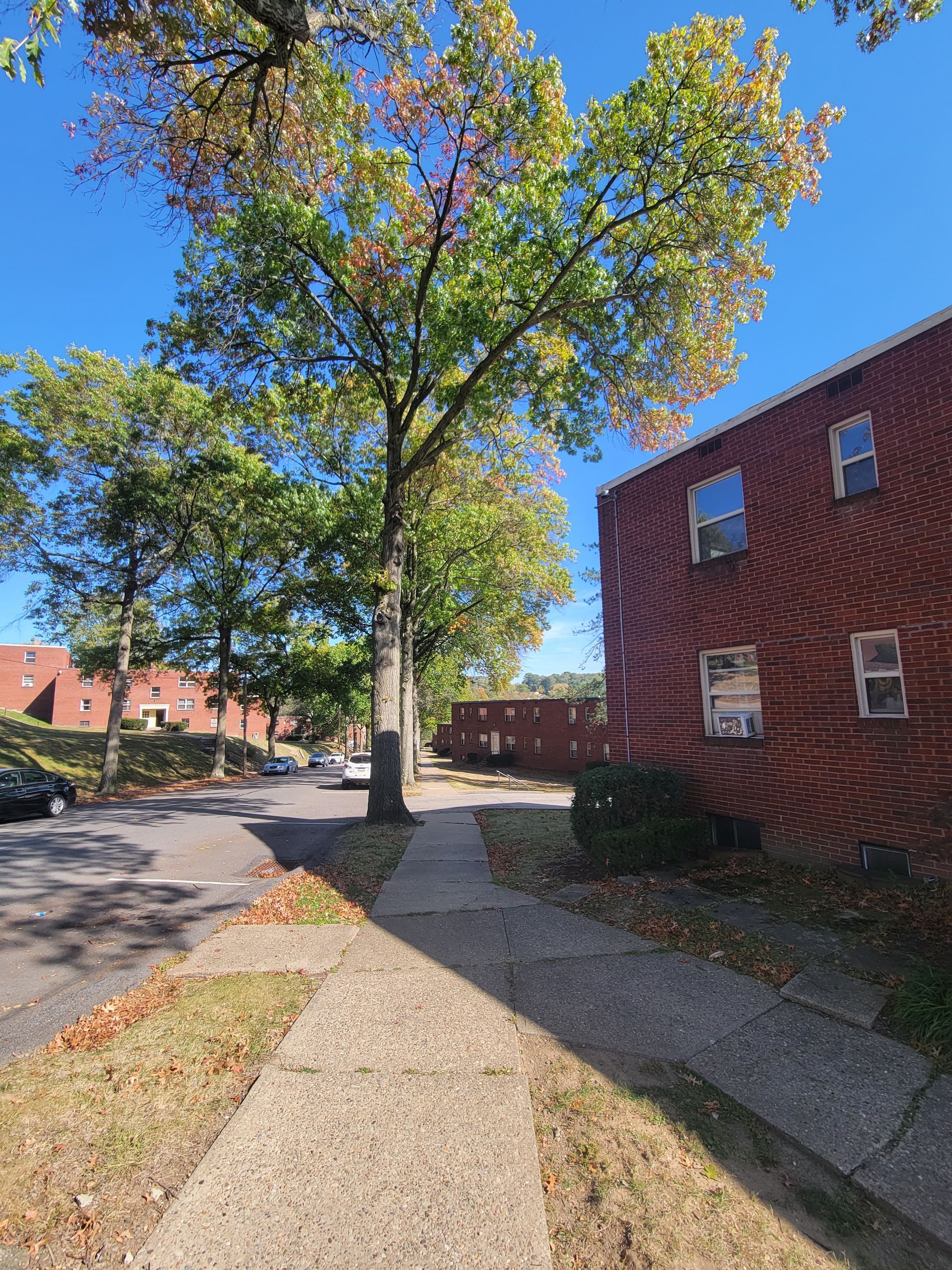 A brick building with a tree in front of it