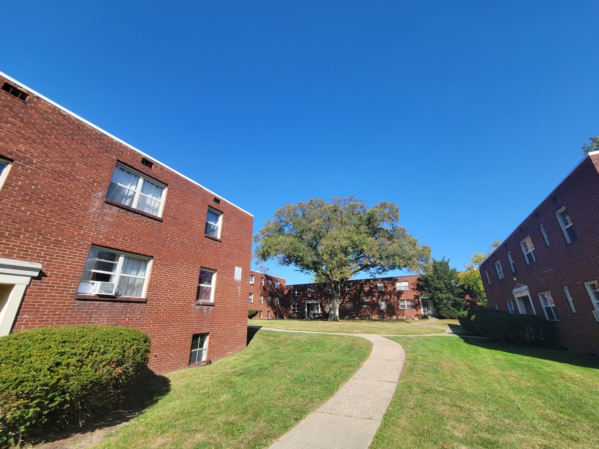 A brick building with a tree in front of it and a path leading to it.