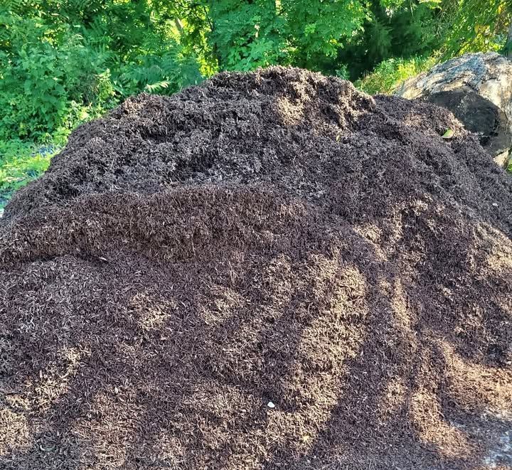 Pile of dark brown mulch outdoors with green foliage in background.