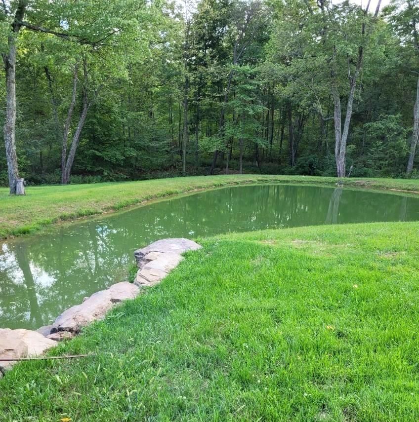 A pond of green water surrounded by green grass and trees in a forested area. A stone border lines the pond's edge.