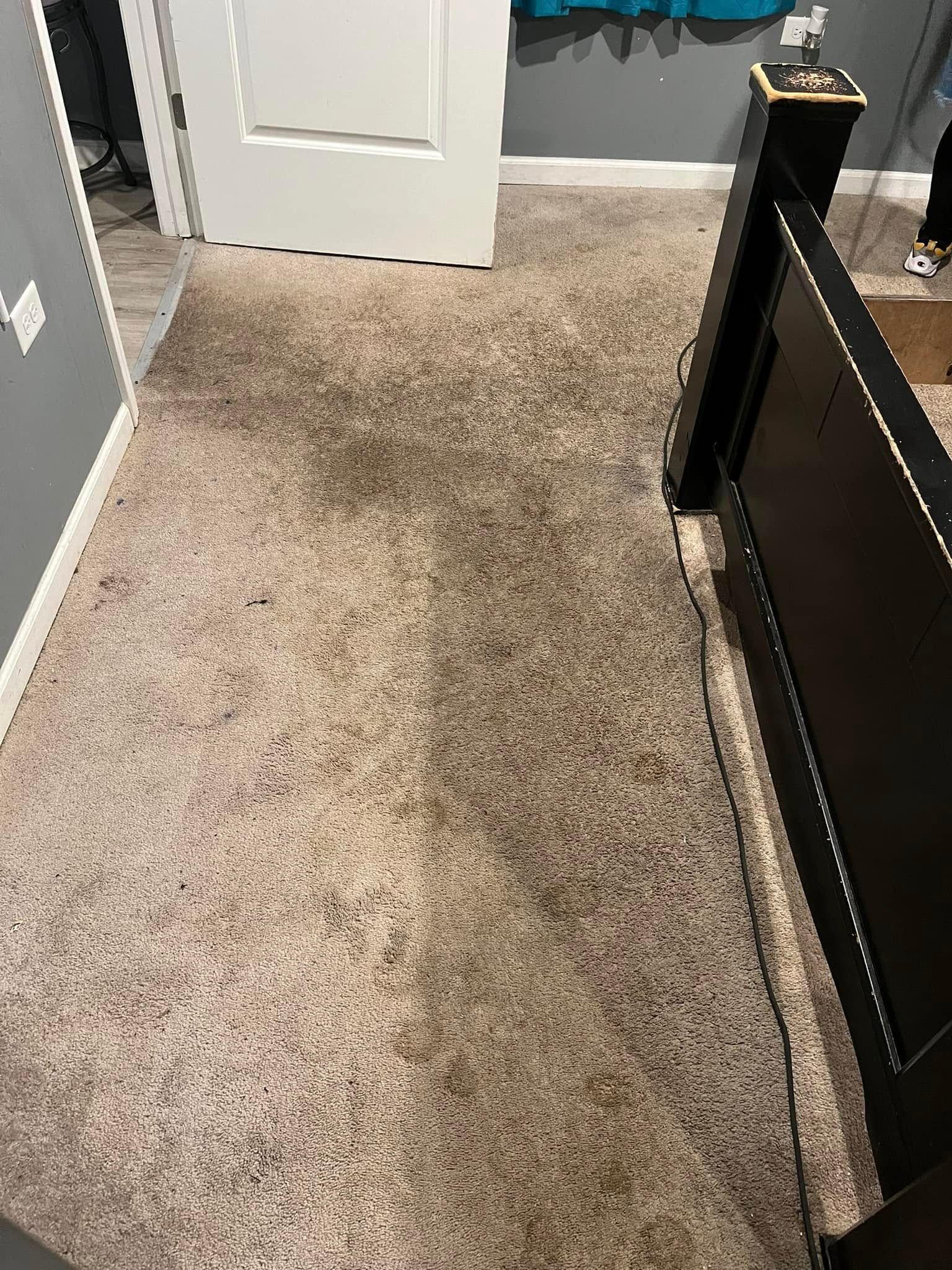 Carpeted hallway with a black gate and an open white door in the background.