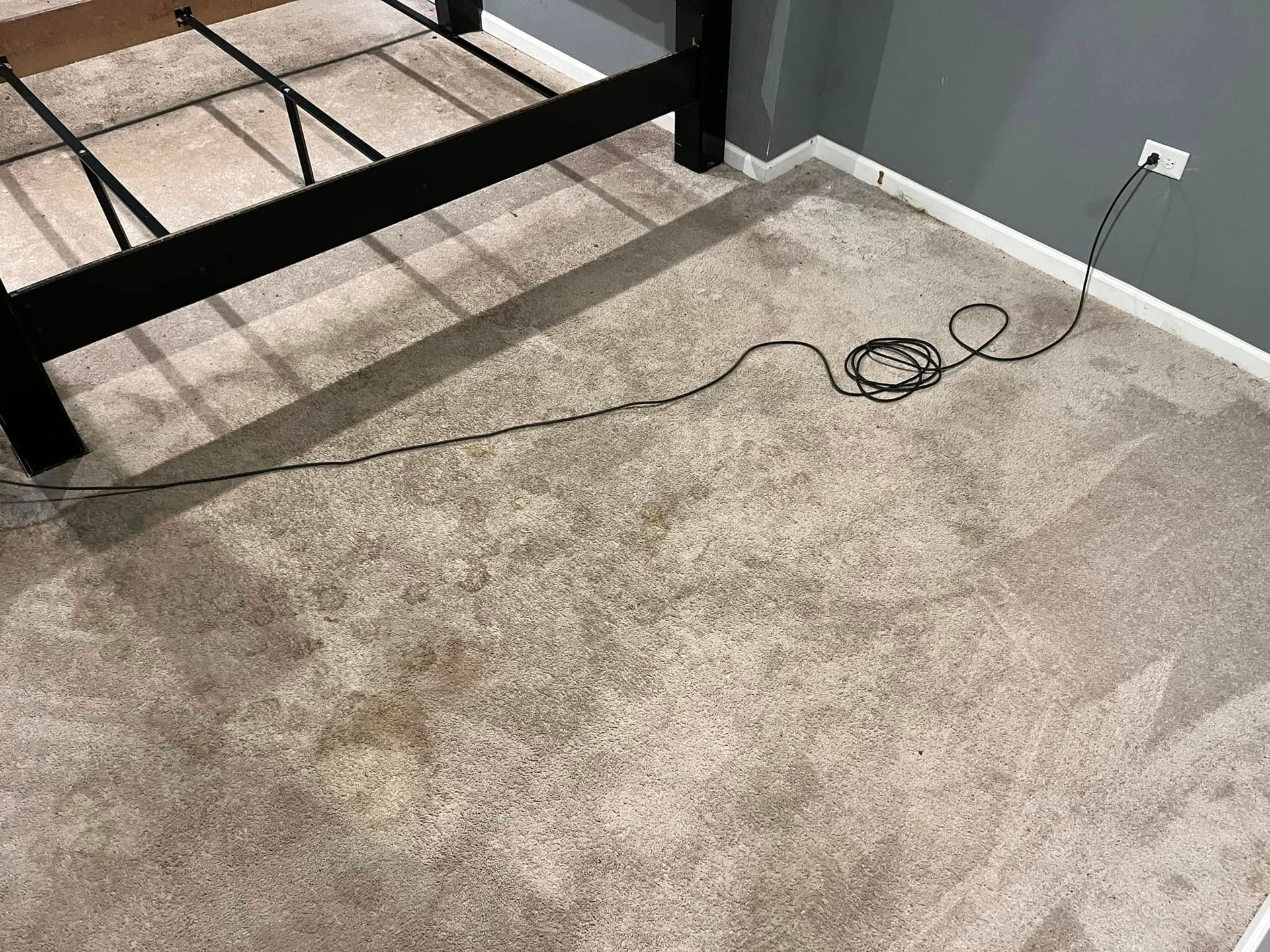 Bedroom carpet with visible stains next to a black metal bed frame and a loose cable along the wall.