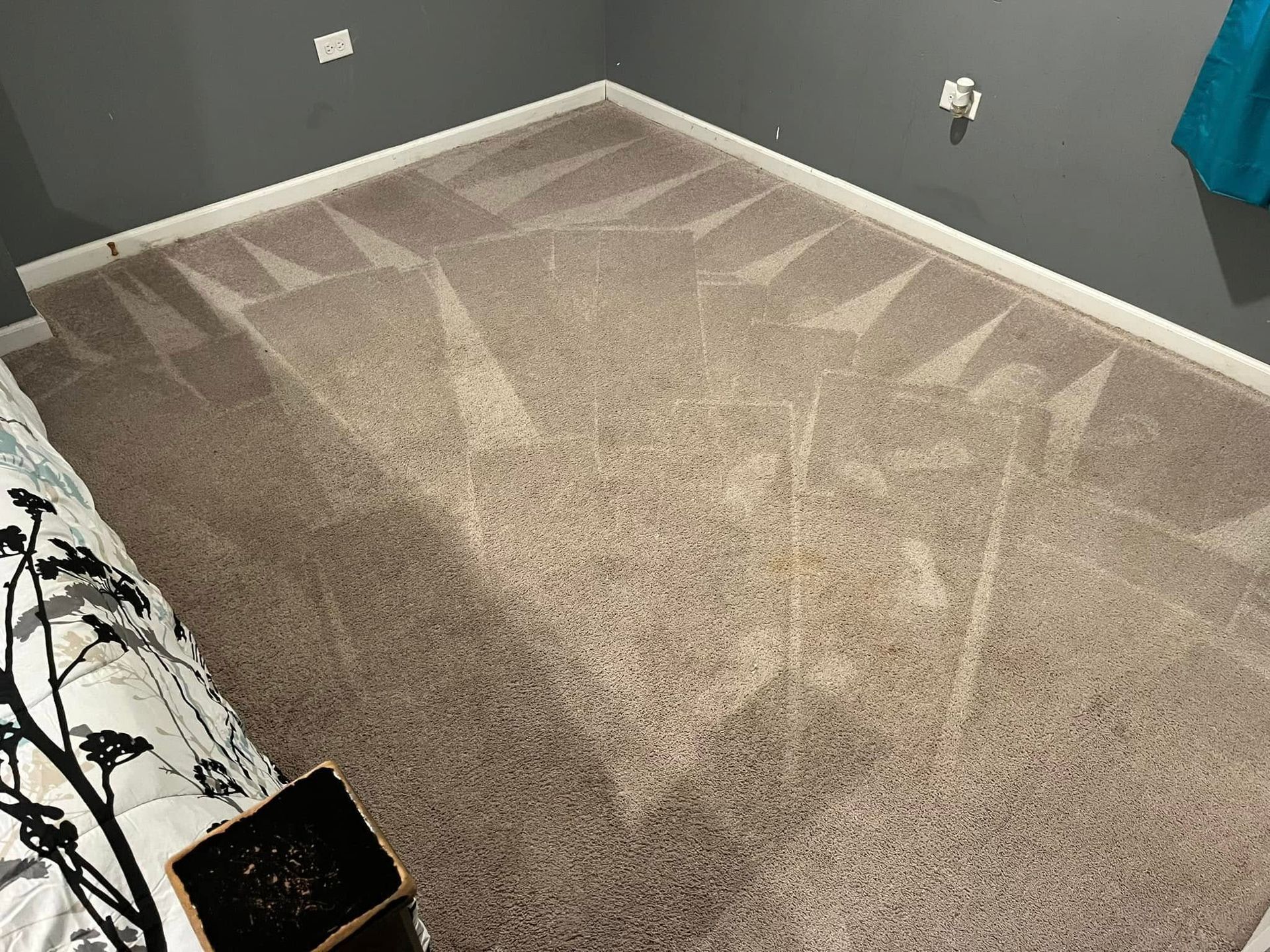 Empty carpeted corner room with gray walls and a patterned bed edge visible on the left.