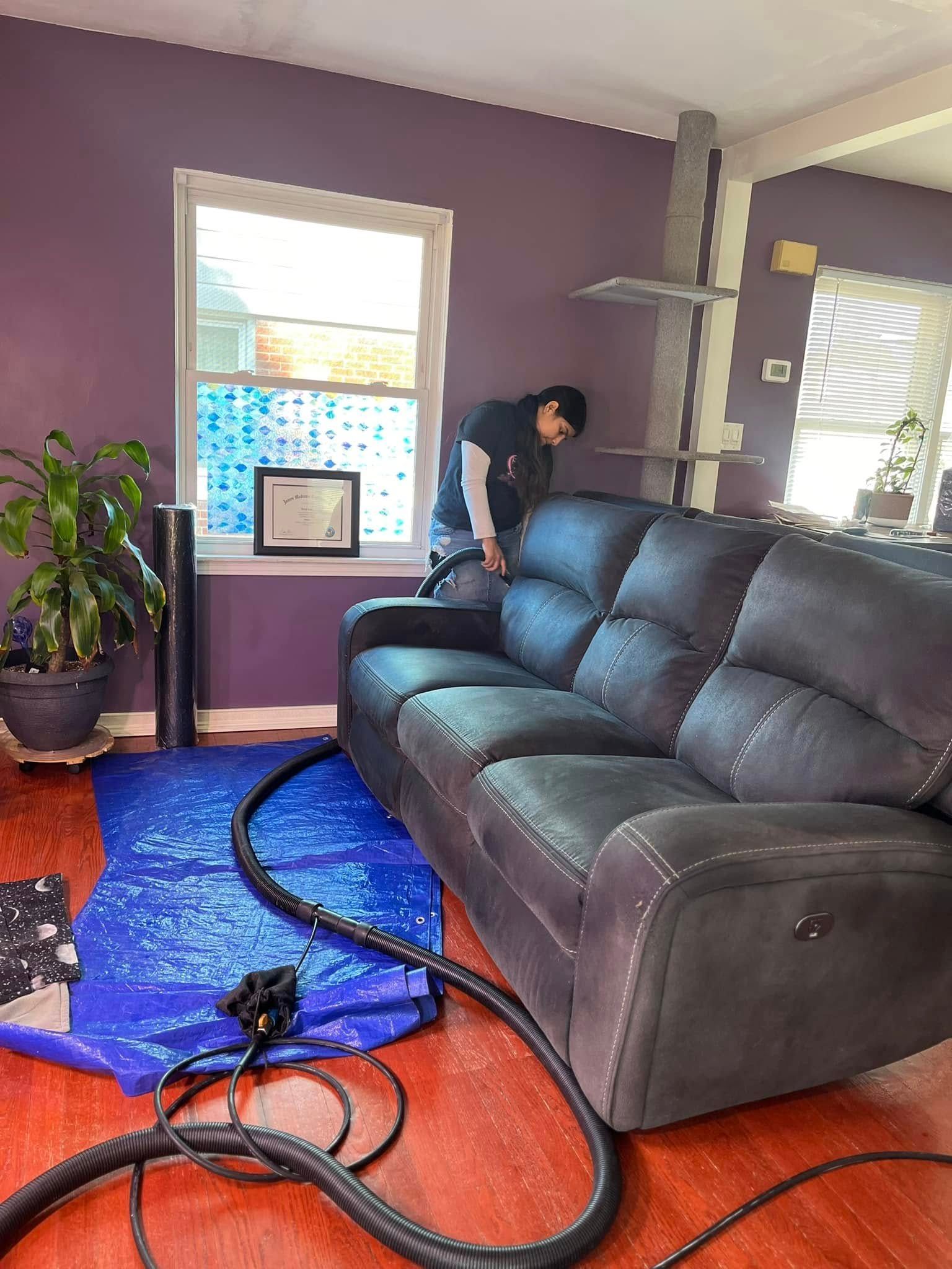 Living room with purple walls, gray sofa, blue rug, and a person near the window.