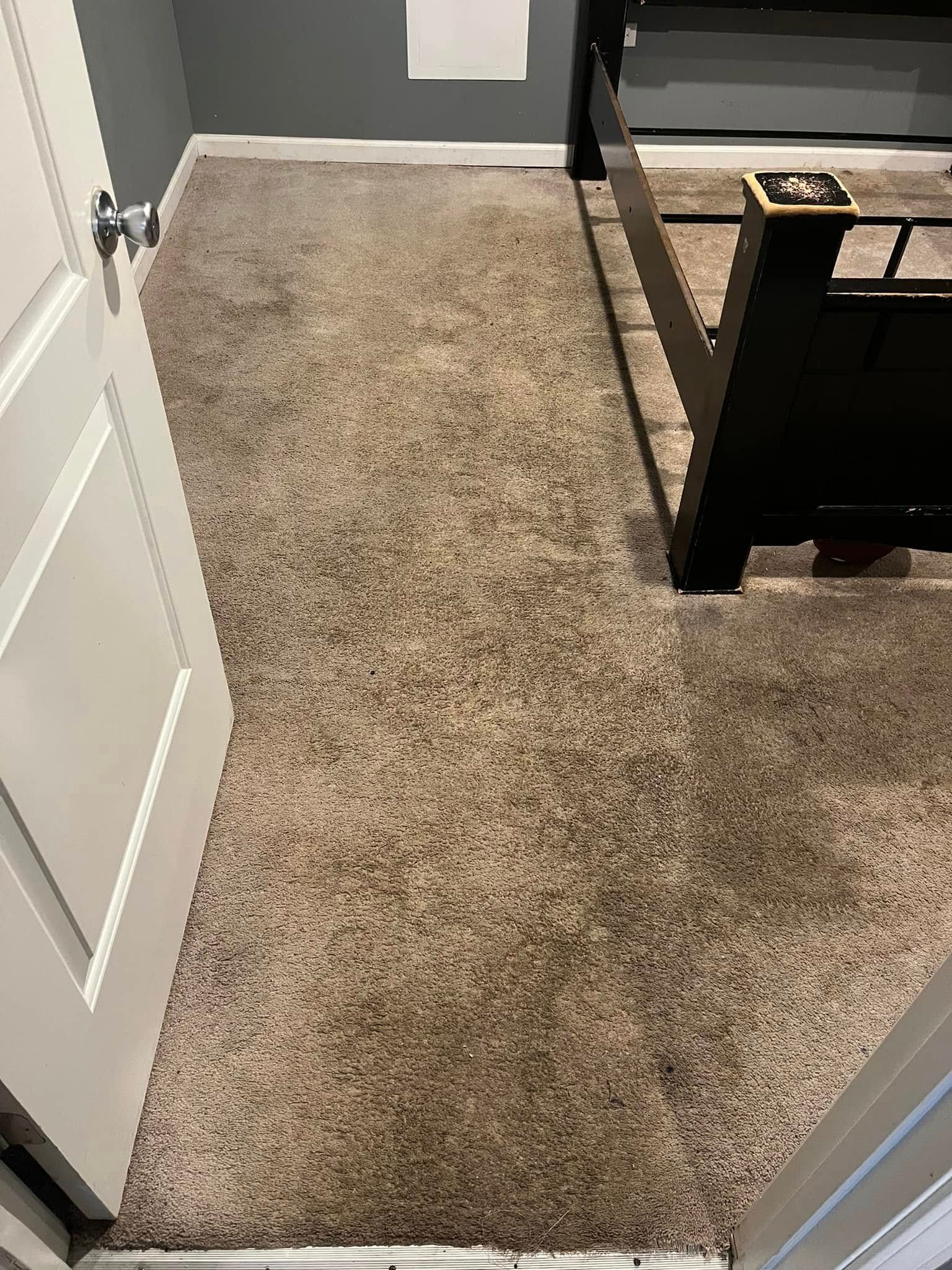 Carpeted hallway with a white door and a black railing beside a gray-walled room.