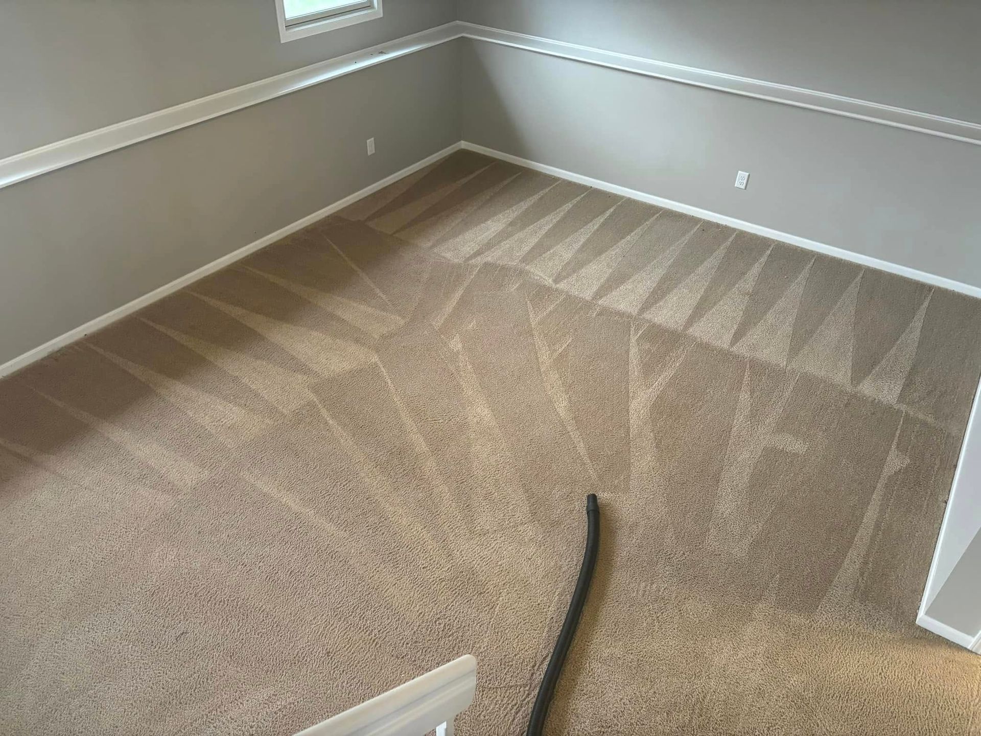 Vacuuming a beige carpet in an empty room with gray walls and sunlight on the floor