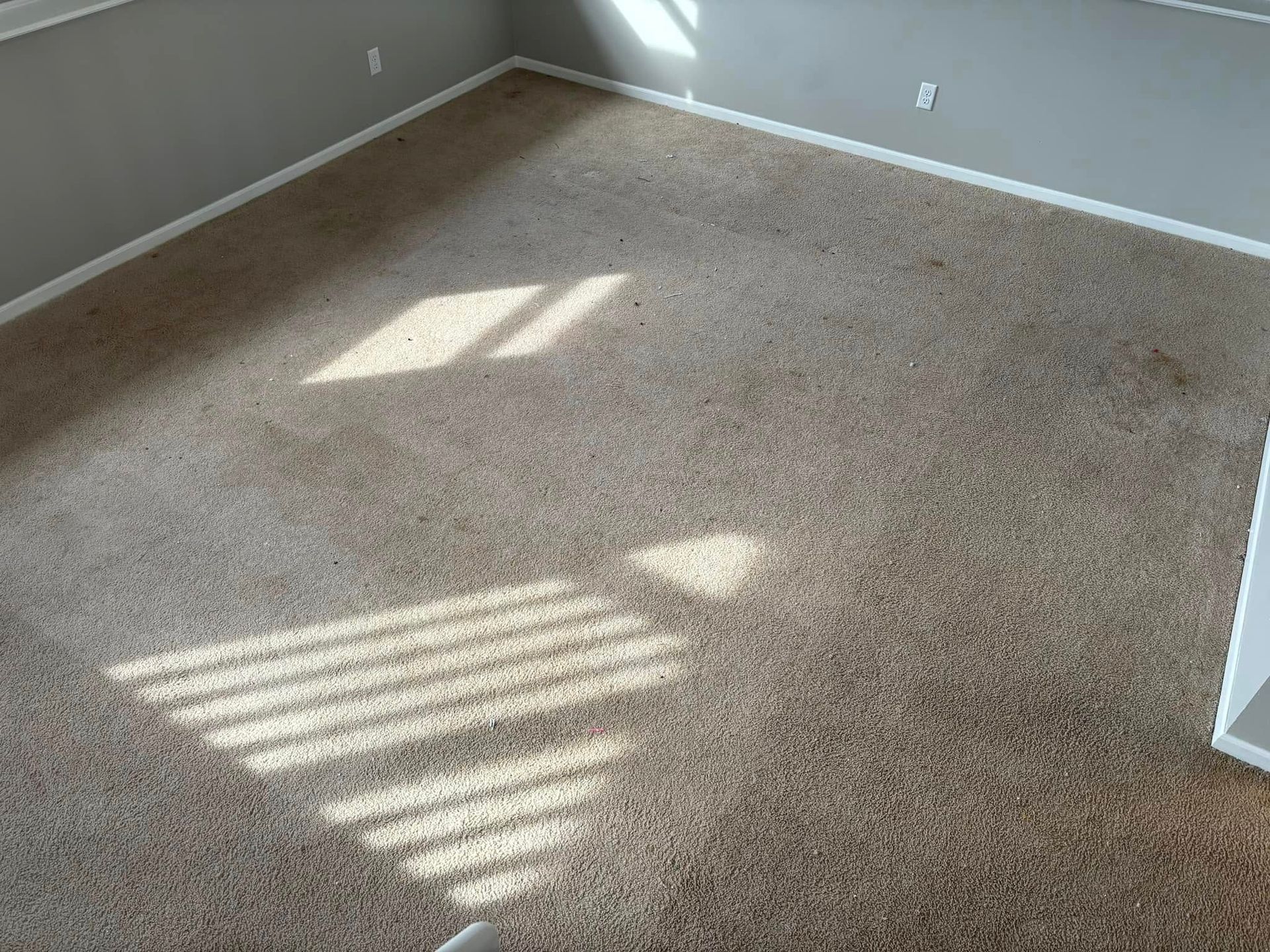 Empty beige-carpeted room with gray walls and sunlight patterns from window blinds.