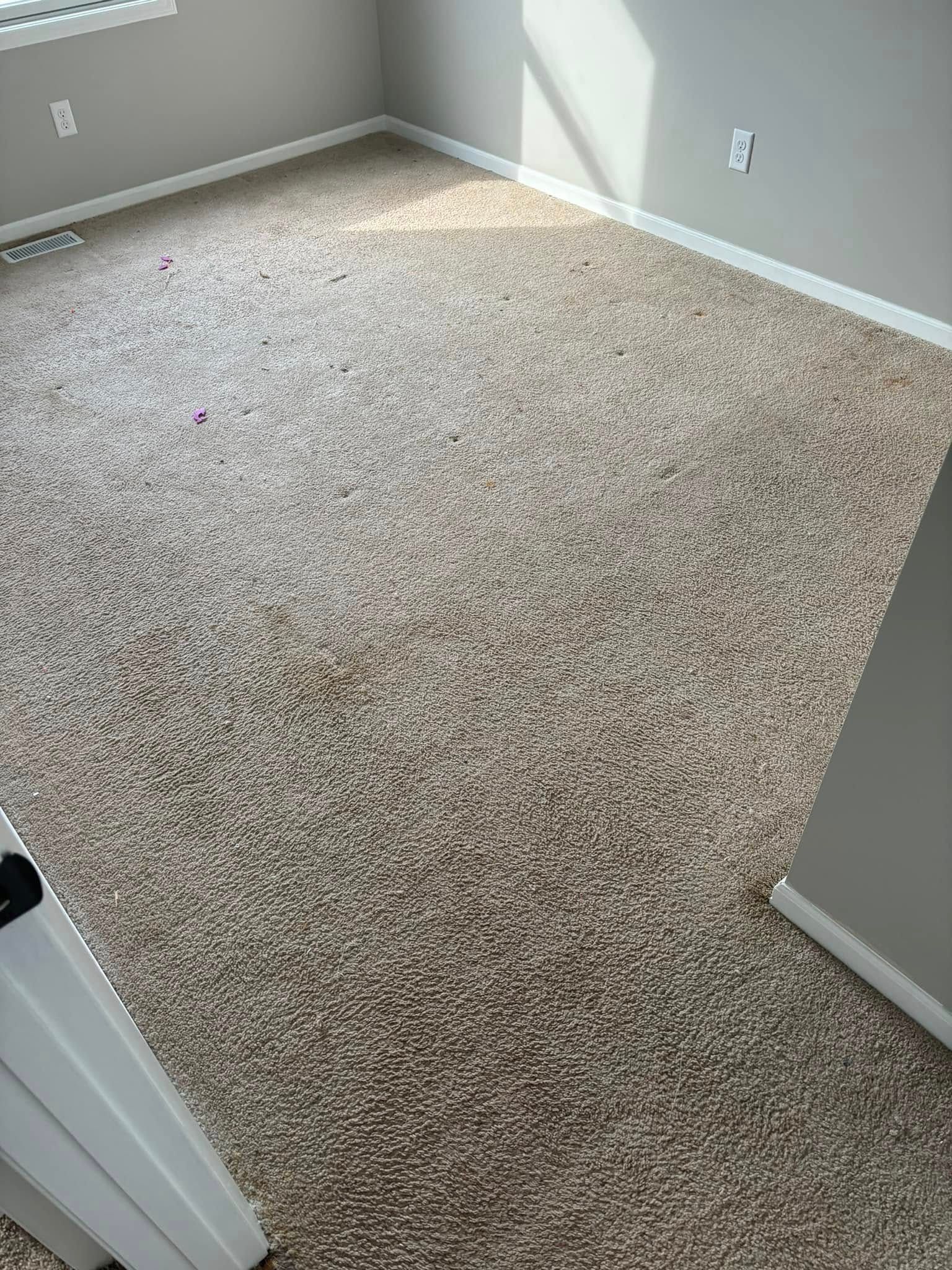 Empty carpeted bedroom with light gray walls and white trim, viewed from the doorway.