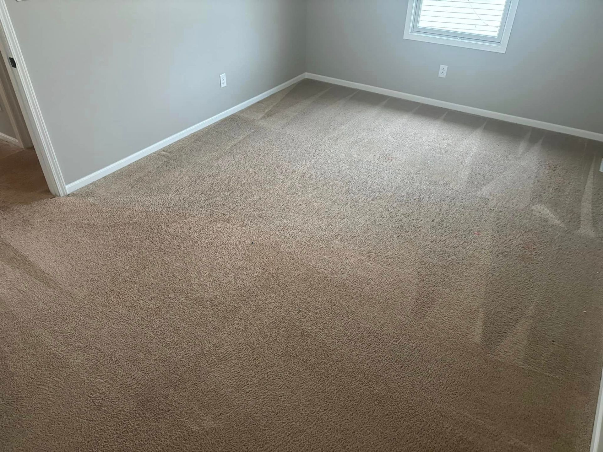 Empty beige carpeted bedroom with gray walls and a window with white blinds.