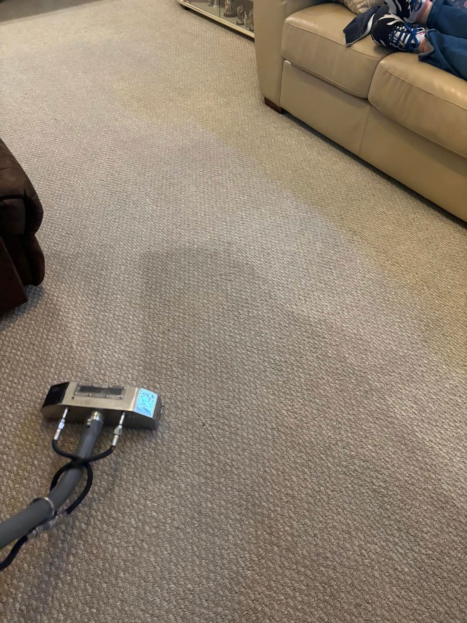 Living room carpet being vacuumed, with a vacuum head in the foreground and a couch in the background.
