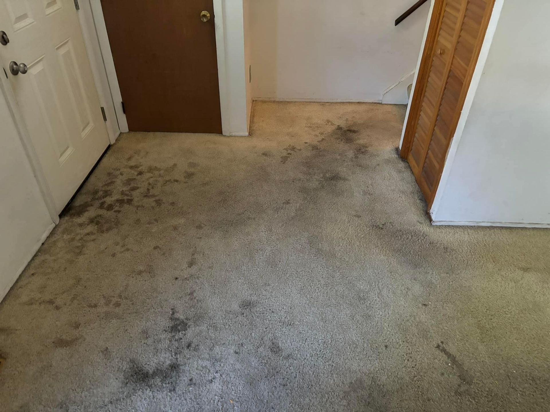 Dirty beige carpeted hallway with dark stains leading to a brown door and white walls