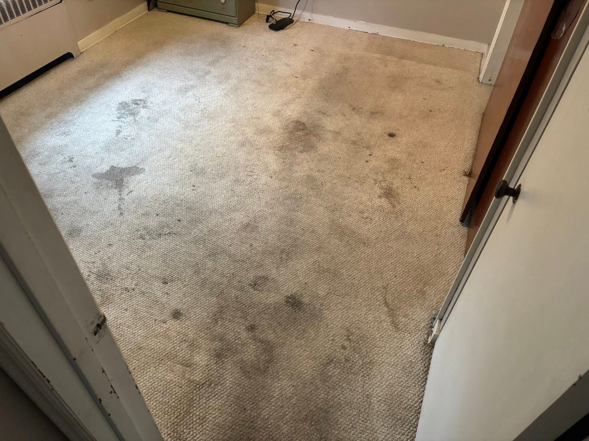Stained beige carpet in a small room with doorway and baseboard trim