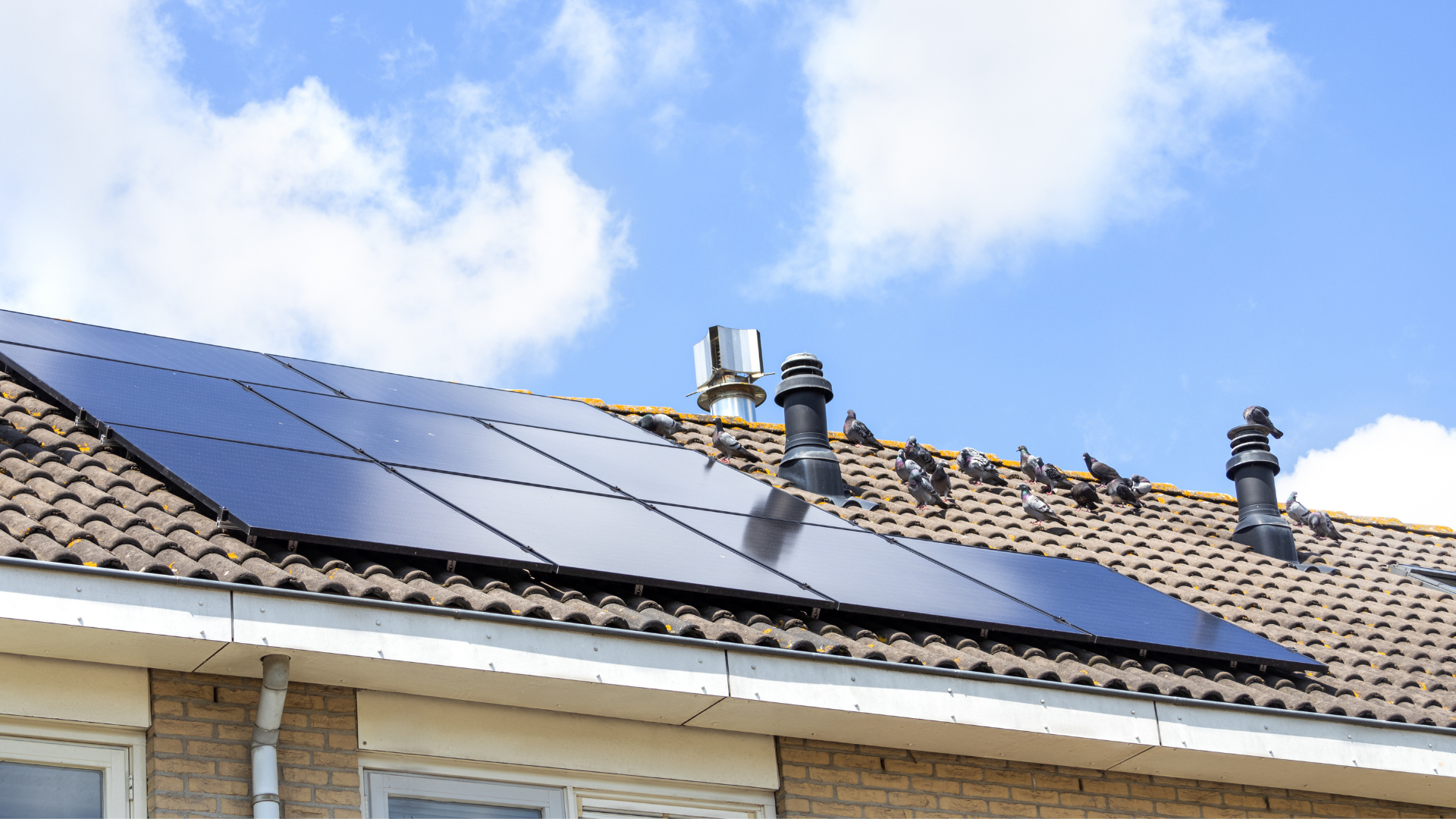 Solar panels on a tiled residential roof under a blue sky