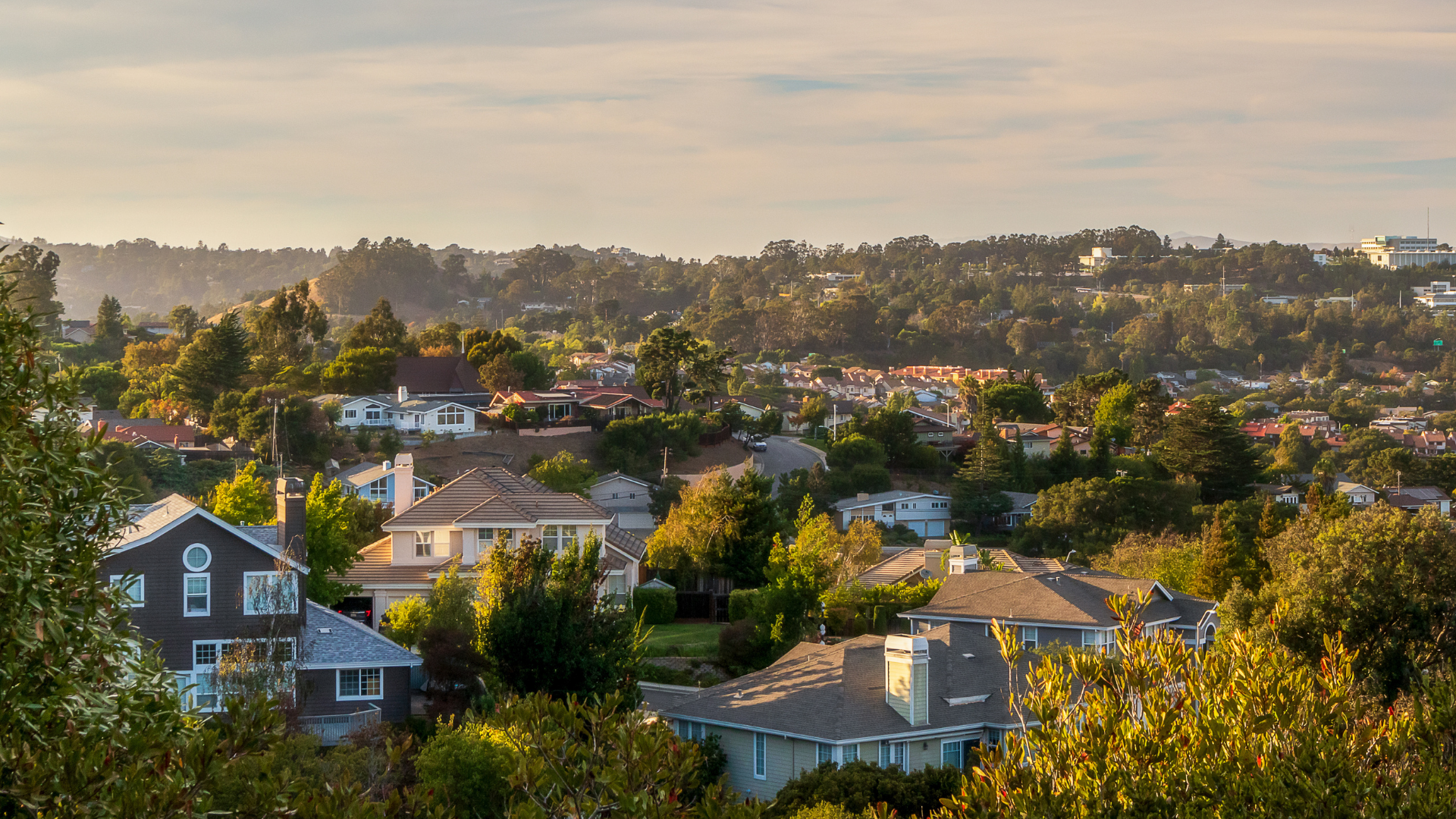 Sunlit suburban neighborhood with trees, rooftops, and distant hills at golden hour