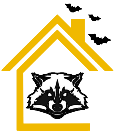 a raccoon is sitting inside of a house with bats flying around it .