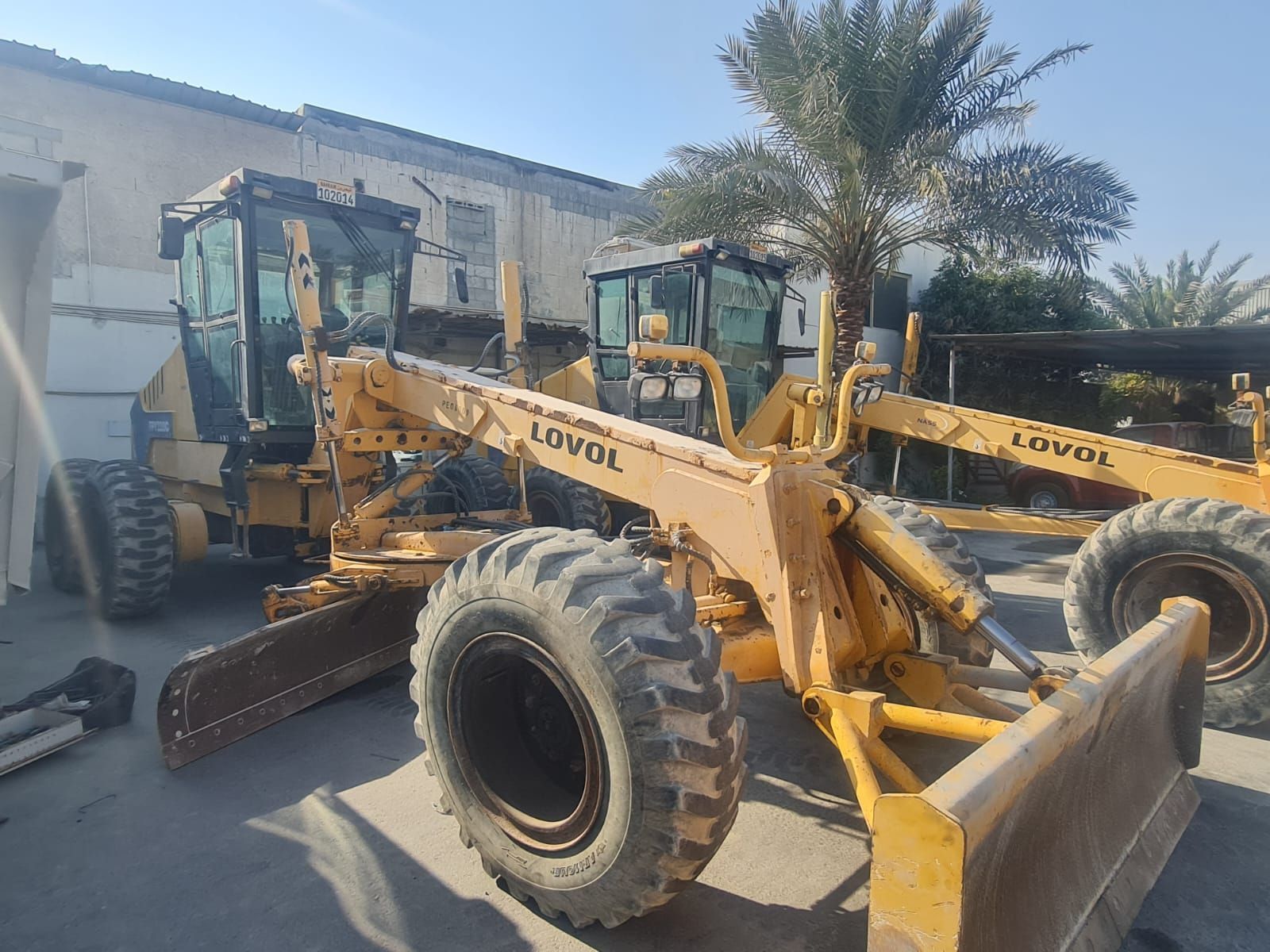 Yellow LOVOL motor graders parked outdoors, with blades lowered, deliriomachinary
