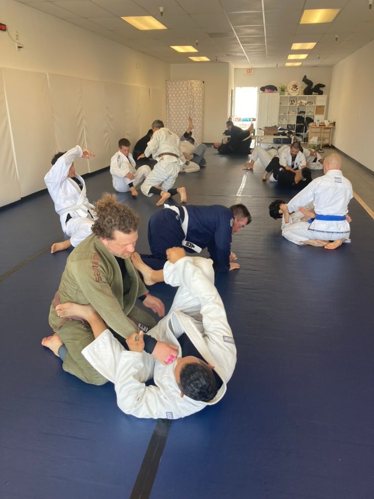 People practicing grappling drills on blue mats in a bright martial arts studio