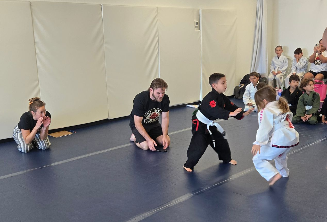 Adult beginner BJJ coaching