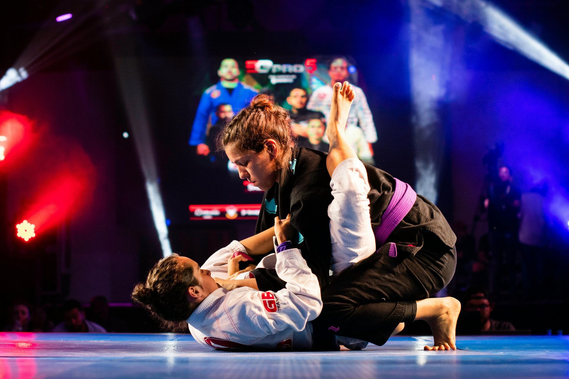 Adult gi BJJ sparring