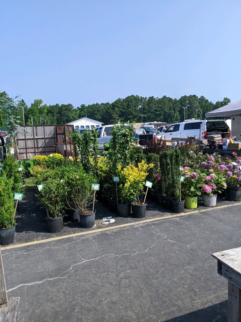 Plants — Newport, NC – Newport Flea Mall