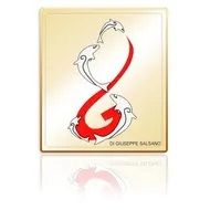 logo salsano