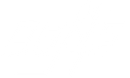 Dans Camera Logo