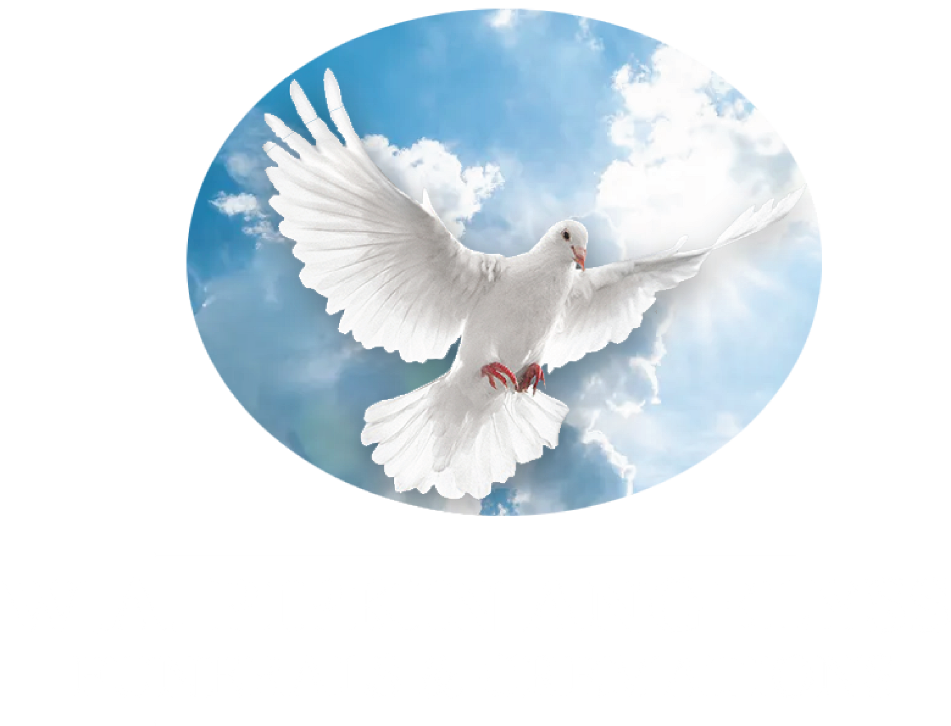 logo-image