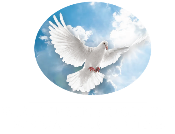 logo-image