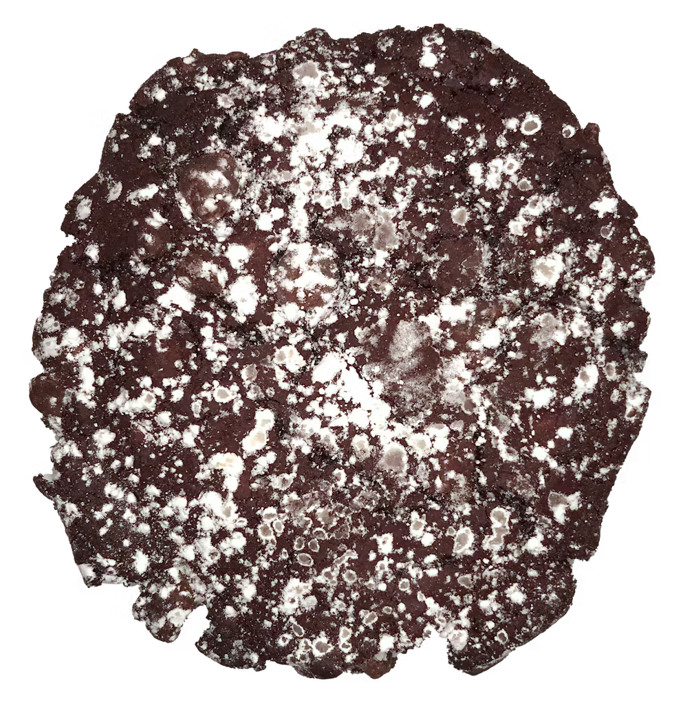 A close up of a chocolate cookie with powdered sugar on top