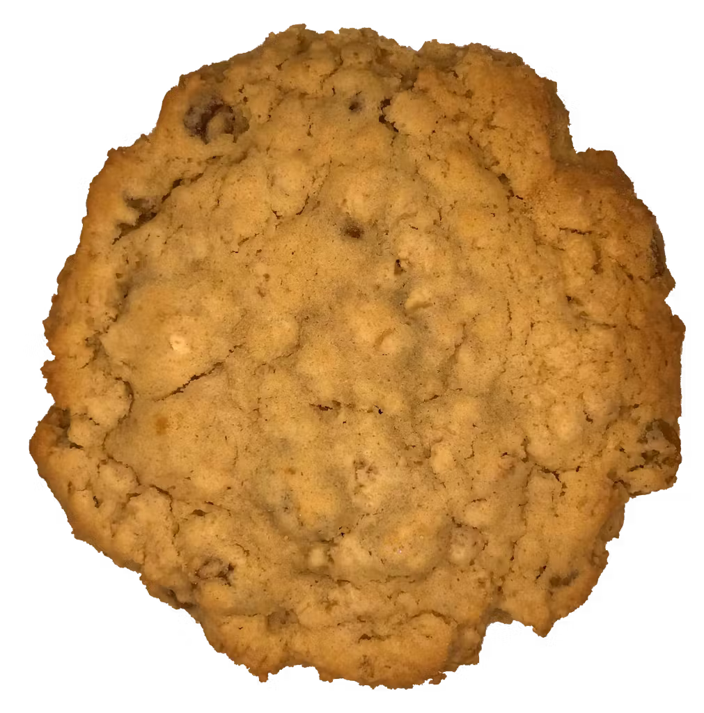 A close up of an oatmeal cookie on a white background