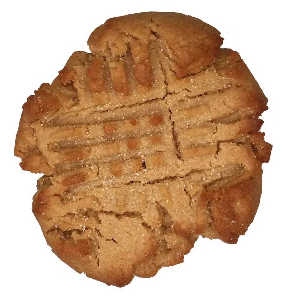 A peanut butter cookie with a bite taken out of it