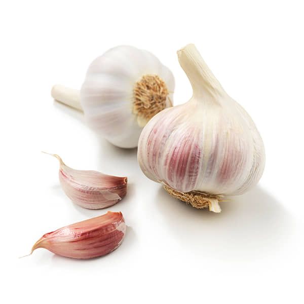 Ajo