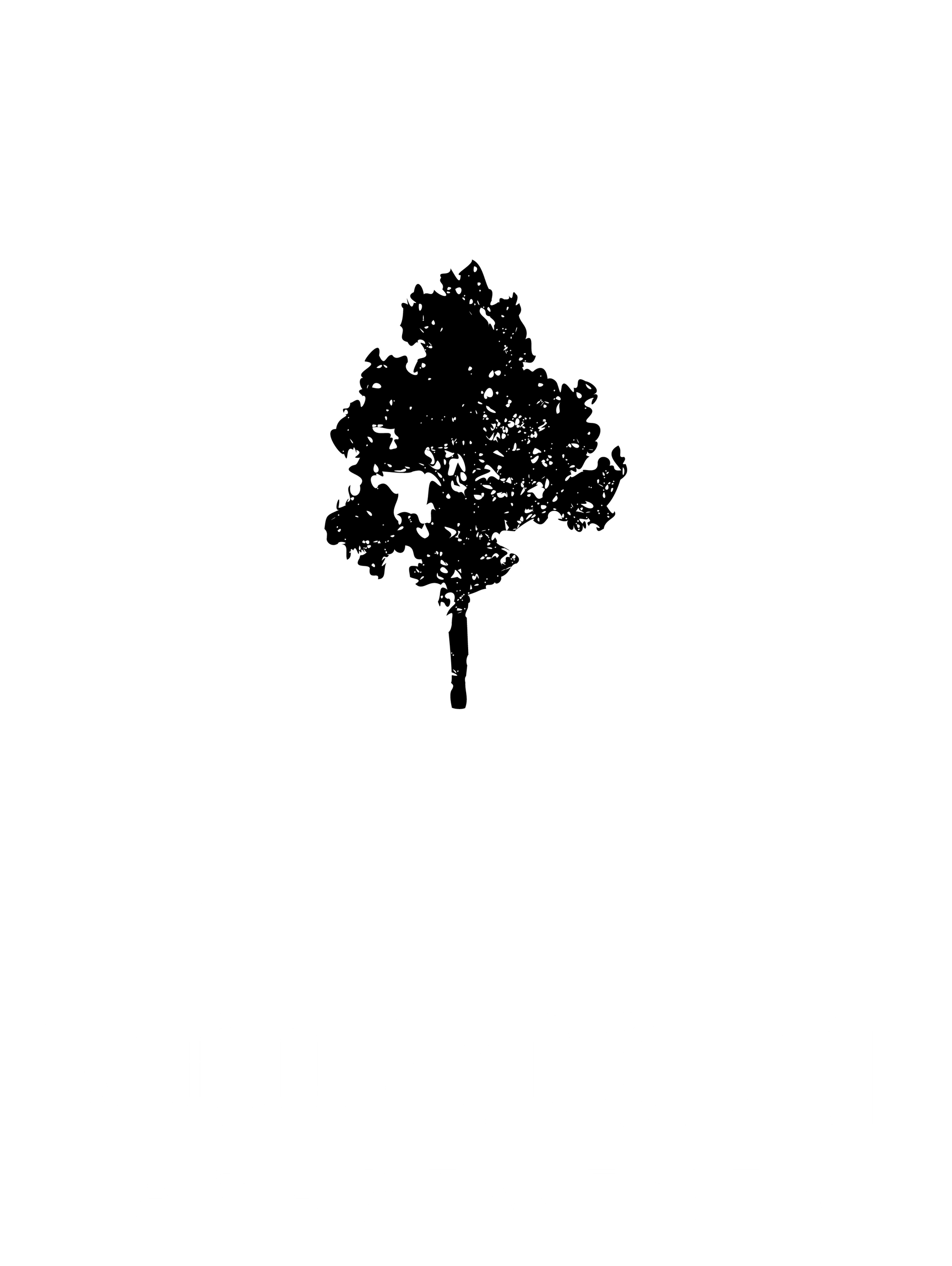 Woodland Court Apartments Logo - header, go to homepage