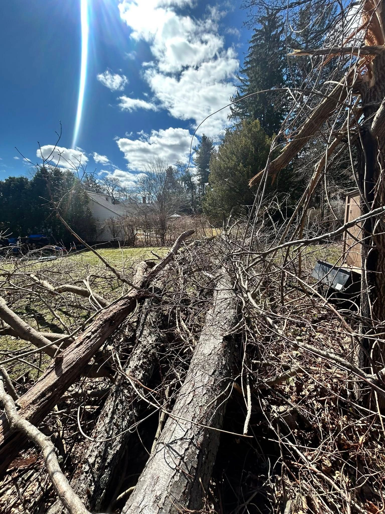Pile of fallen tree branches in a sunny outdoor yard under a blue sky with clouds