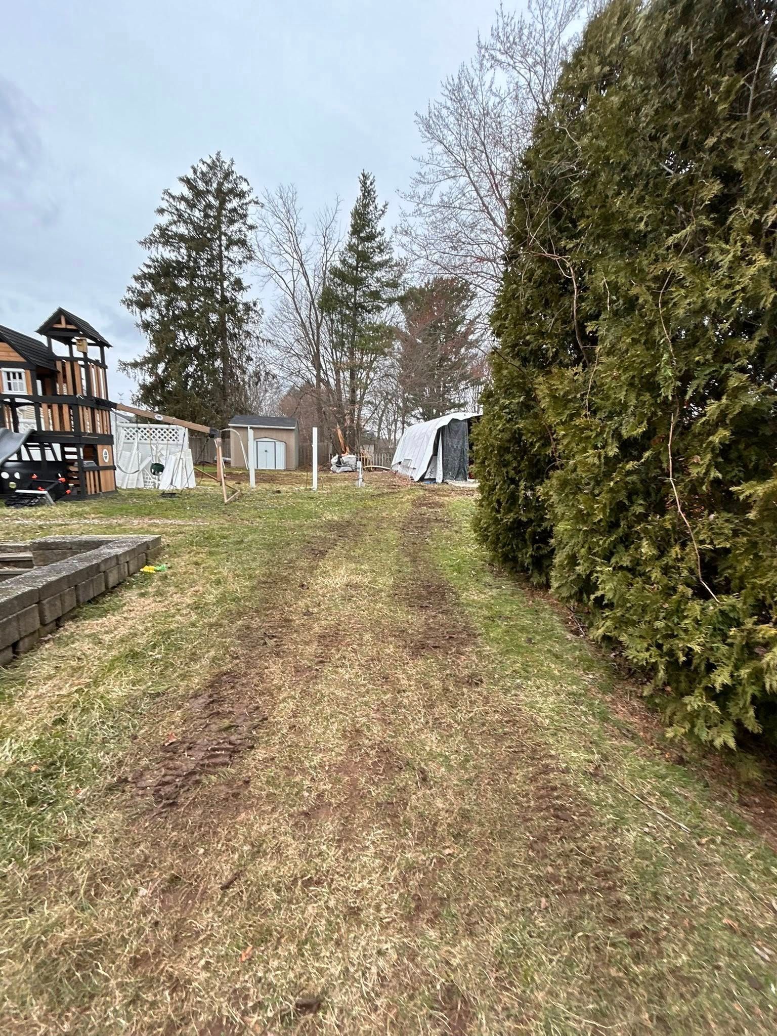Grassy path between tall hedges and trees leading toward buildings in a garden area