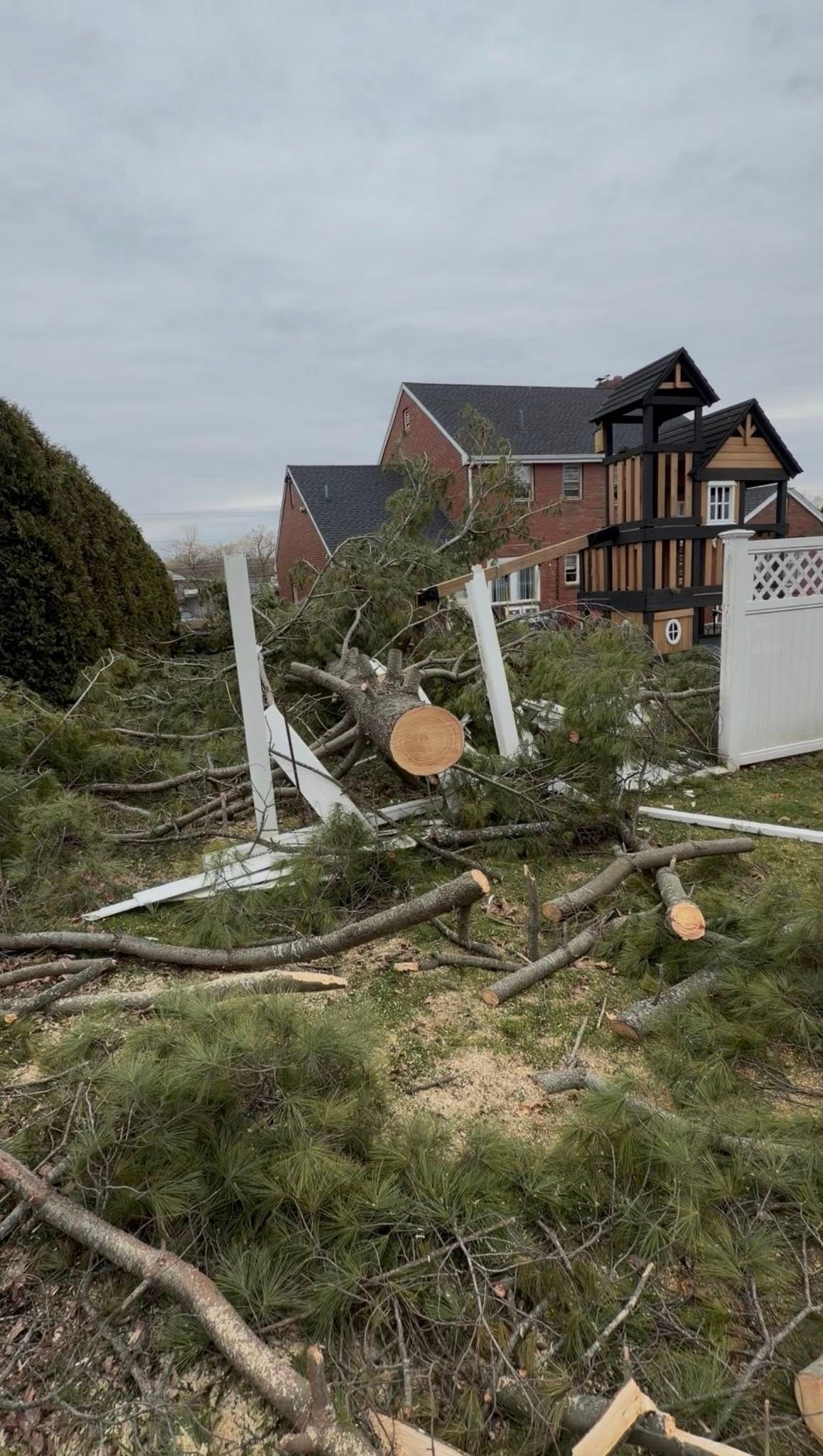Storm damage in a yard, with a fallen tree blocking the path beside a house.