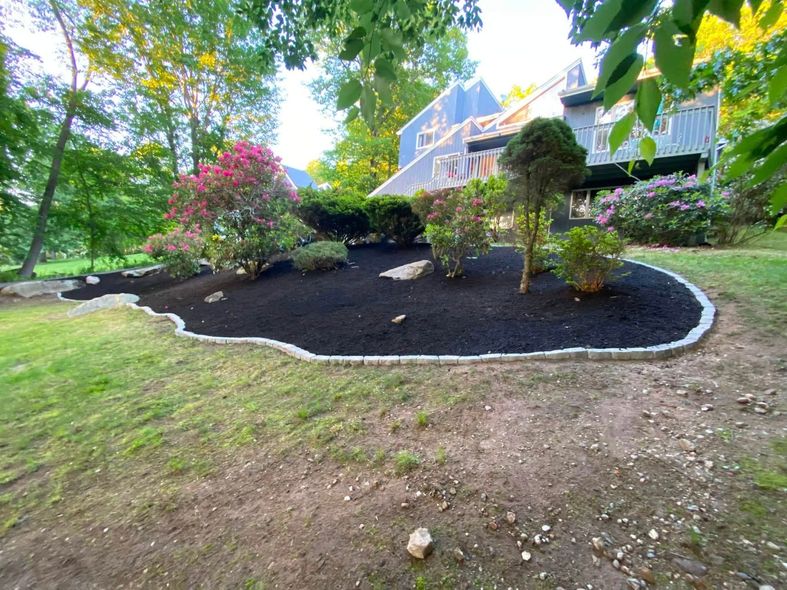 Front yard garden with dark mulch, white edging, shrubs, and a house in the background